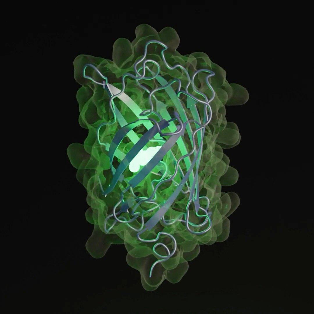 Fluorescent_protein_esmGFP_-_created_with_ESM3 (1)