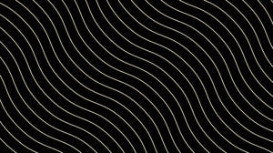 Lines